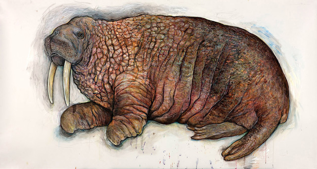 <em>Old Bull Walrus</em>, 2008, Mixed Media/Drafting Film, 42 x 68"